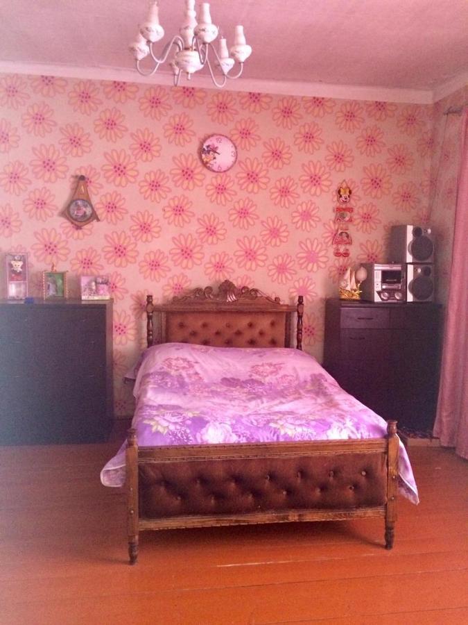 Hotel Kazbegi 1 Εξωτερικό φωτογραφία